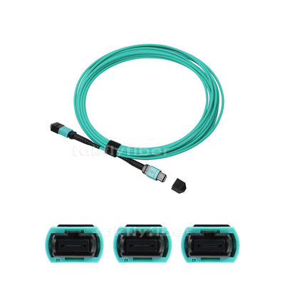 OM3 8/12/24 creuse le câble optique de fibre de MPO MTP, 3.0mm, le millimètre 50/125, Aqua
