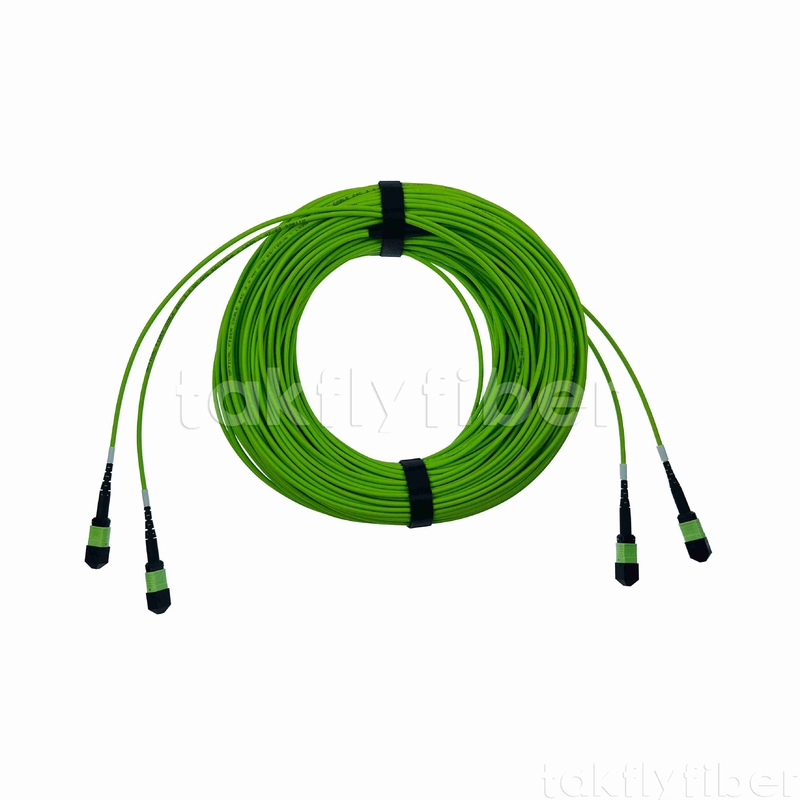 Connecteur Mpo Mtp câble à fibre optique micro 3,0 mm Om5 24 cœurs
