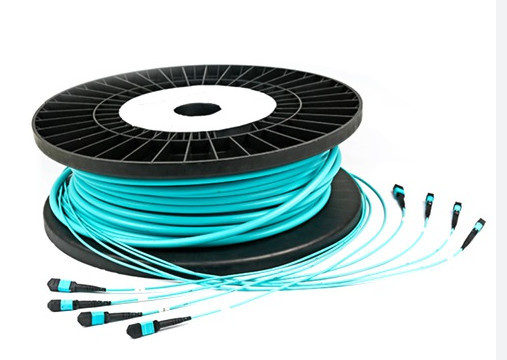 Multimode 36 cœurs câble de patch optique Mpo / Mtp Pour Gigabit Ethernet