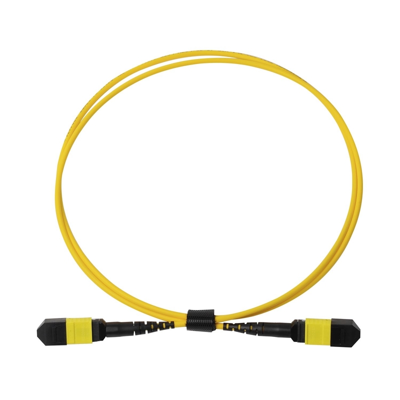 Pénum OFNP MPO Cordon de patch 1m 3ft MTP-12 APC Femme à MTP-12 APC Femme mode unique OS2
