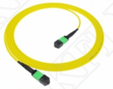 2m 7ft MTP Plénum OFNP MPO Cable à patch 3,0mm MTP 12F APC féminin Elite