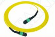 MTP-12 APC féminin à MTP-12 APC féminin Single-mode OS2 Plenum OFNP Type A MPO câble de patch