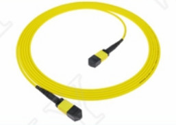 MTP-12 APC féminin à MTP-12 APC féminin mode unique OS2 plénière OFNP type A MPO patch cord 5m 16ft