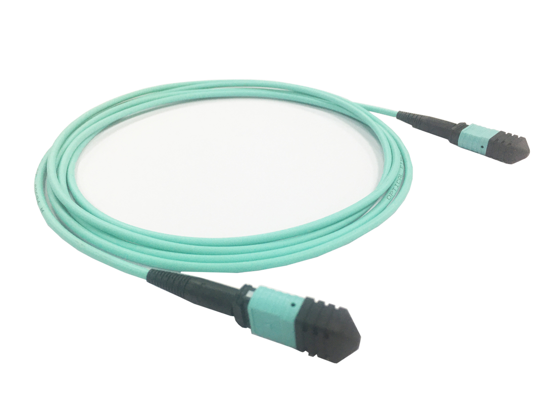 Élite Multimode OM3 50/125, PLENUM OFNP Type B MPO Patch Cord 3m 10ft PC MTP-12 féminin à PC MTP-12 féminin