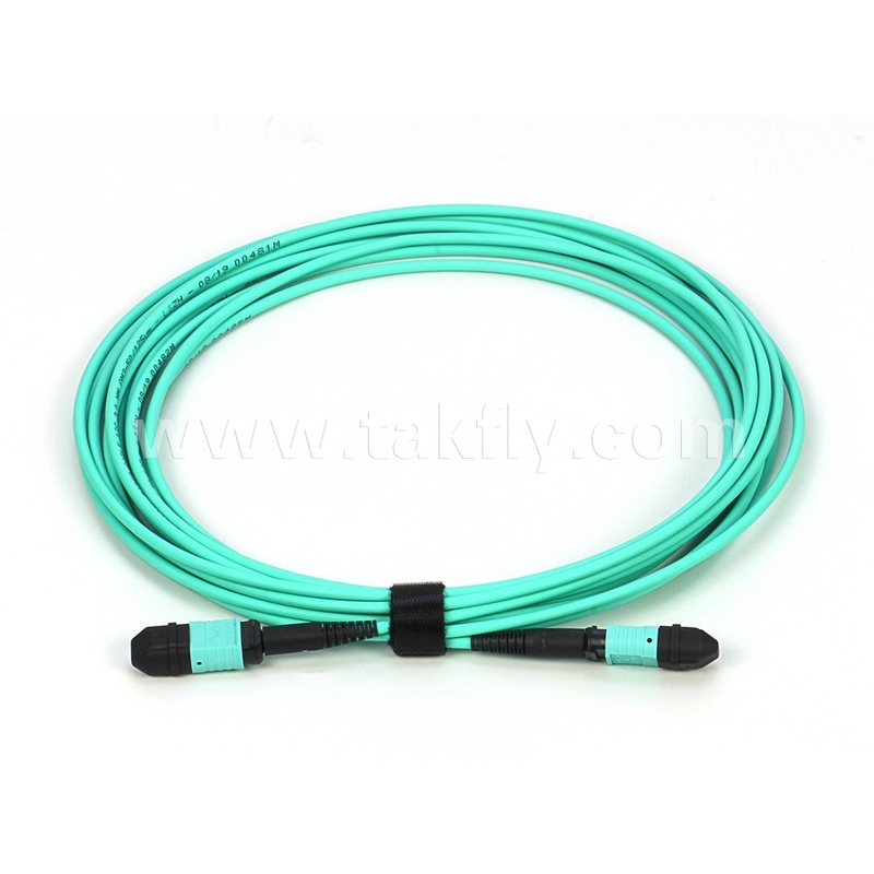 Élite Multimode OM3 50/125 PLENUM OFNP Type B MPO cordon de patch 30m 100ft PC MTP-12 féminin à PC MTP-12 féminin