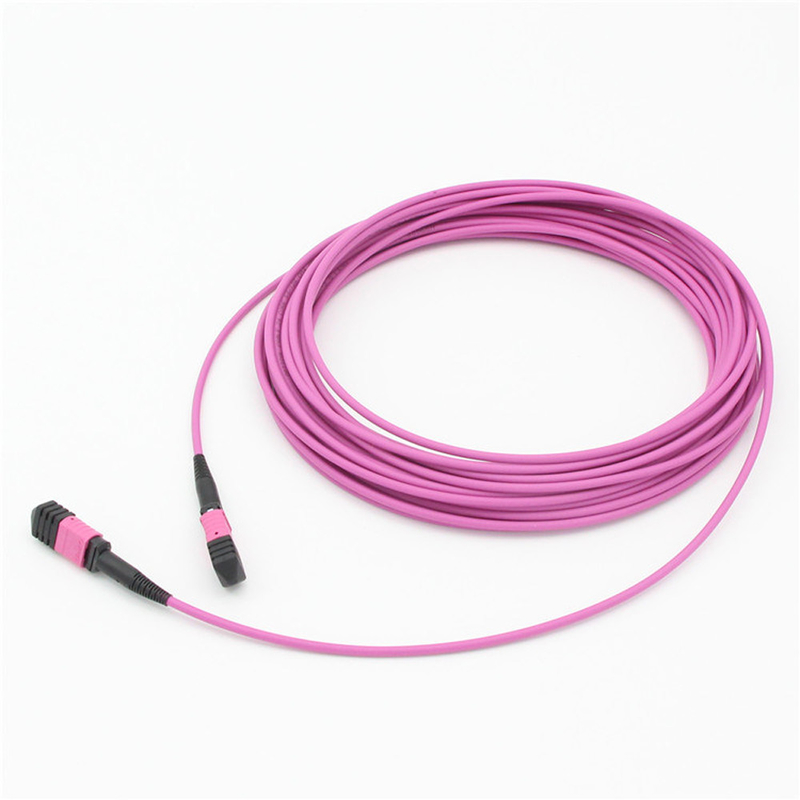 Élite Multimode OM4 50/125, Plénum OFNP Type B MPO câble de patch 1m 3ft PC MTP-12 féminin à PC MTP-12 féminin