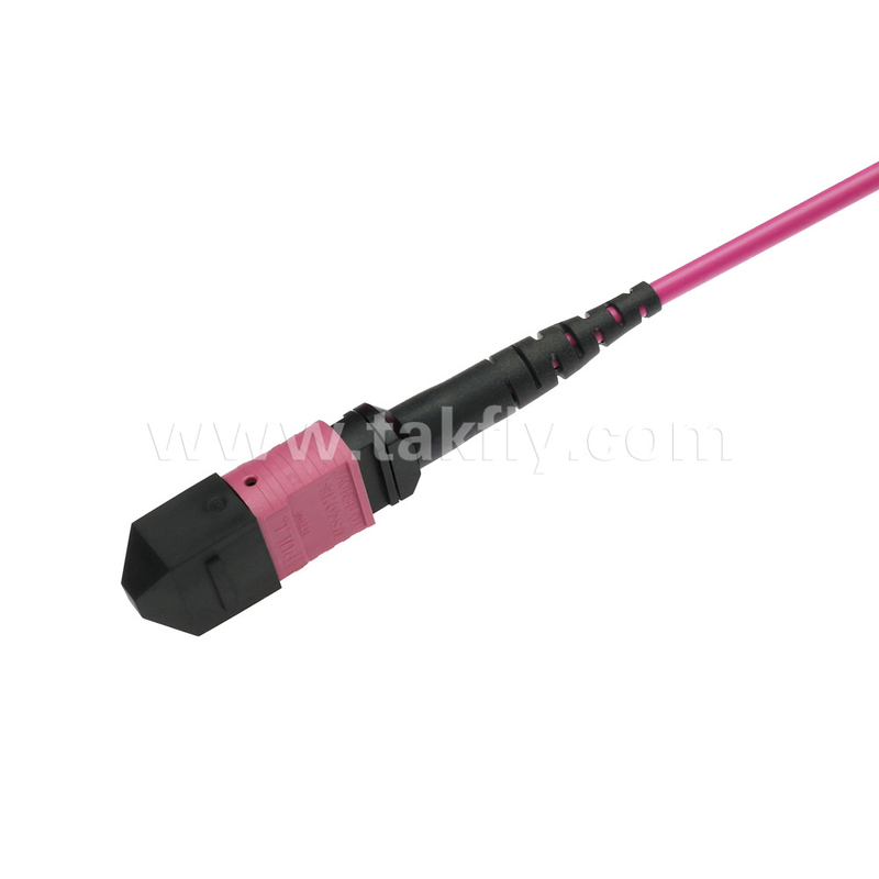 L'Elite Multimode OM4 50/125, PLENUM OFNP Type B MPO Patch Cord 5m 16ft PC MTP-12 féminin à PC MTP-12 féminin
