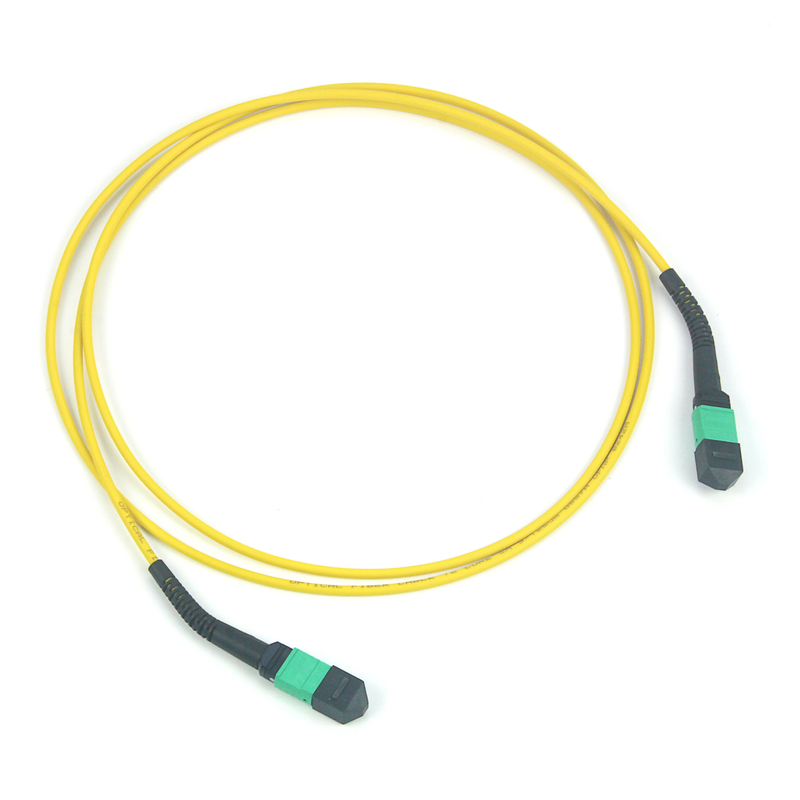 12/24/48/96/144 noyaux LC SC FC MPO MTP câble troncal Jumper câble à fibre optique