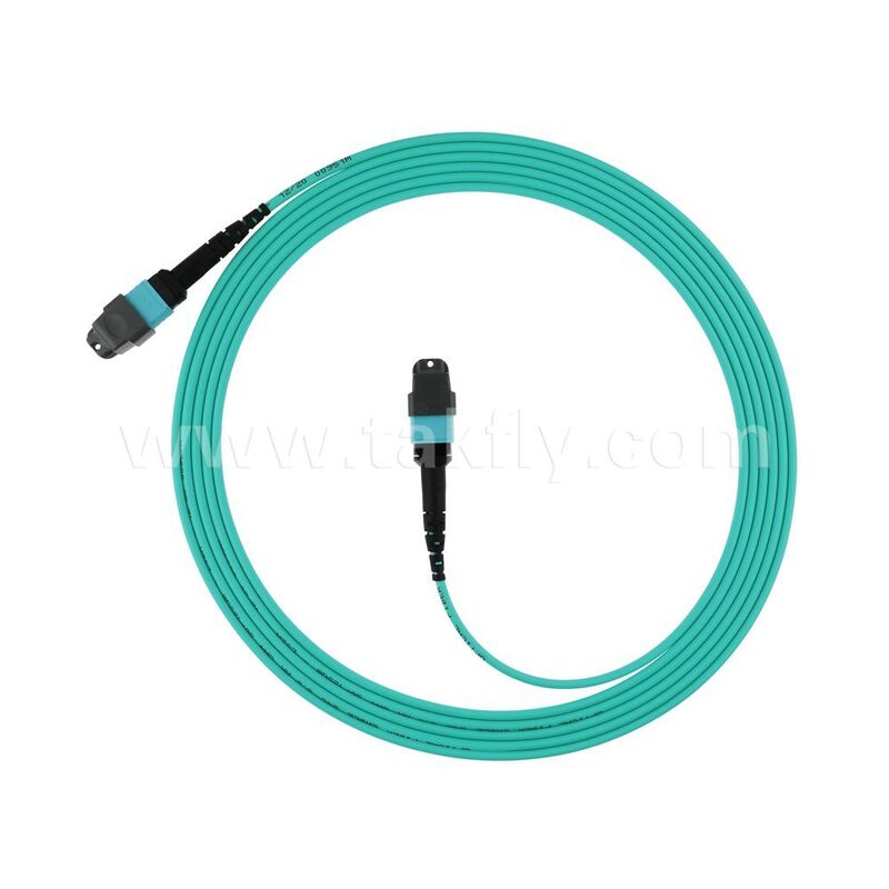 Cordon de raccordement fibre optique multimode MPO MTP OM3 OM4 OM5 haute densité 8F 12F 16F 24F / Câble de raccordement fibre optique / Jumper optique / Câble de jonction fibre optique pour centre de données