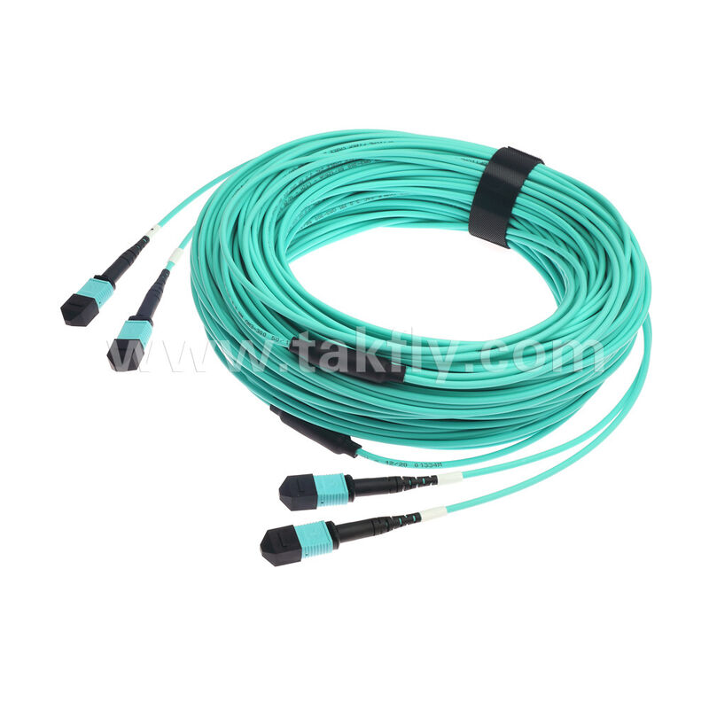 Cordon de raccordement fibre optique multimode OM3 OM4 24 fibres 2x12F MPO MTP - 2x12F MPO MTP mâle femelle / Câble de raccordement fibre optique / Câble de dérivation optique / Câble de jonction fibre optique / Câble éventail fibre optique