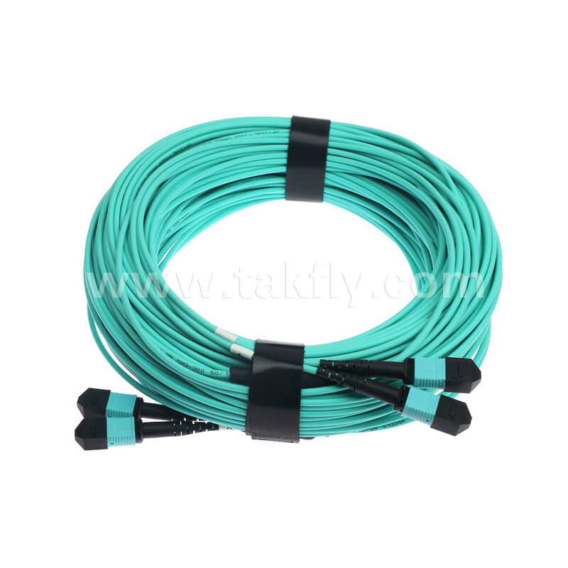 24 câbles de rupture optique à fibres 2x12F MPO MTP- 2x12F MPO MTP mâle femelle OM3 OM4 Multimode câble de patchcord à fibres optiques / câble de patch à fibres optiques / câble de tronc à fibres optiques / câble de sortie à fibres optiques