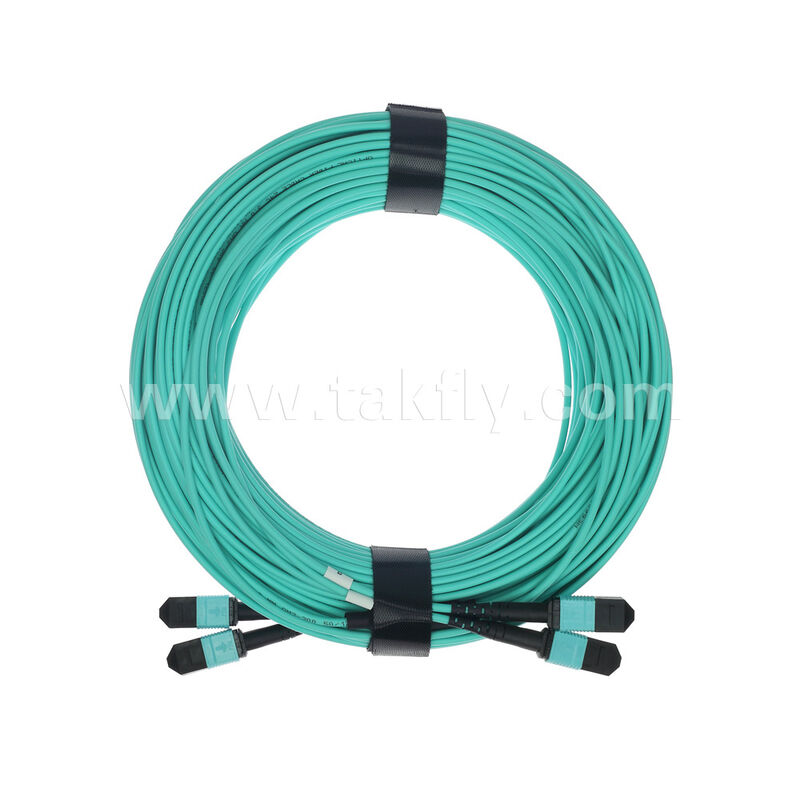 Élite 2x12F MPO MTP- 2x12F MPO MTP mâle femelle câble de rupture optique à 24 fibres OM3 OM4 Multimode câble de patchcord à fibres optiques / câble de patch à fibres optiques / câble de tronc à fibres optiques / câble de sortie à fibres optiques