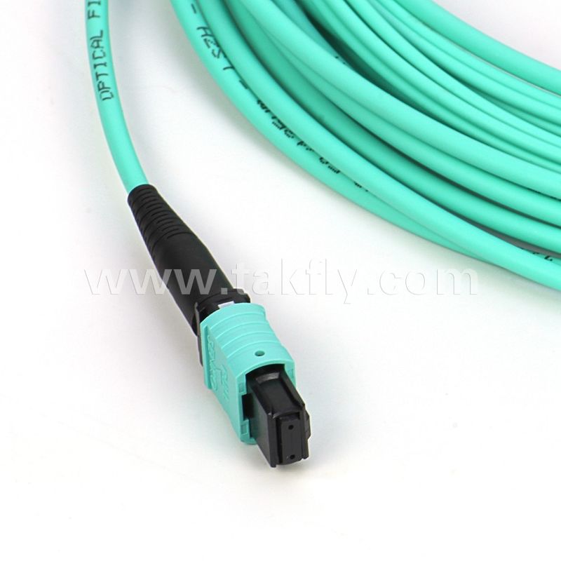 Cable à fibre optique multi-mode 12/24 cœurs Mpo Mtp Om3 pour les applications dans les centres de données