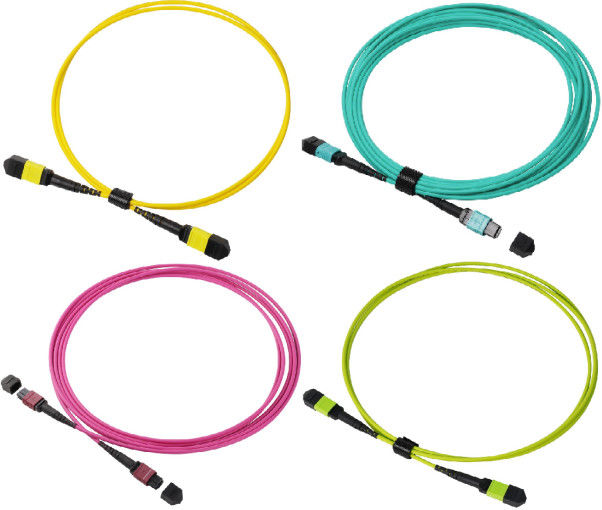 câble LSZH du SM OM4 OM5 MPO MTP de 8F 12F 24F pour 40G 100G 400G