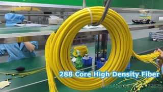 Cordon de raccordement 288F MPO/MTP