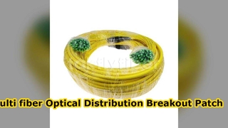 Cordon de brassage de distribution optique multi-fibres